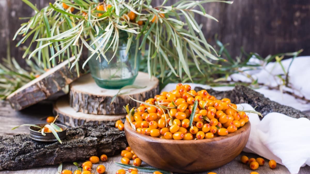BioSip: A Natural Energy Boost with Himalayan Seabuckthorn & Herbs