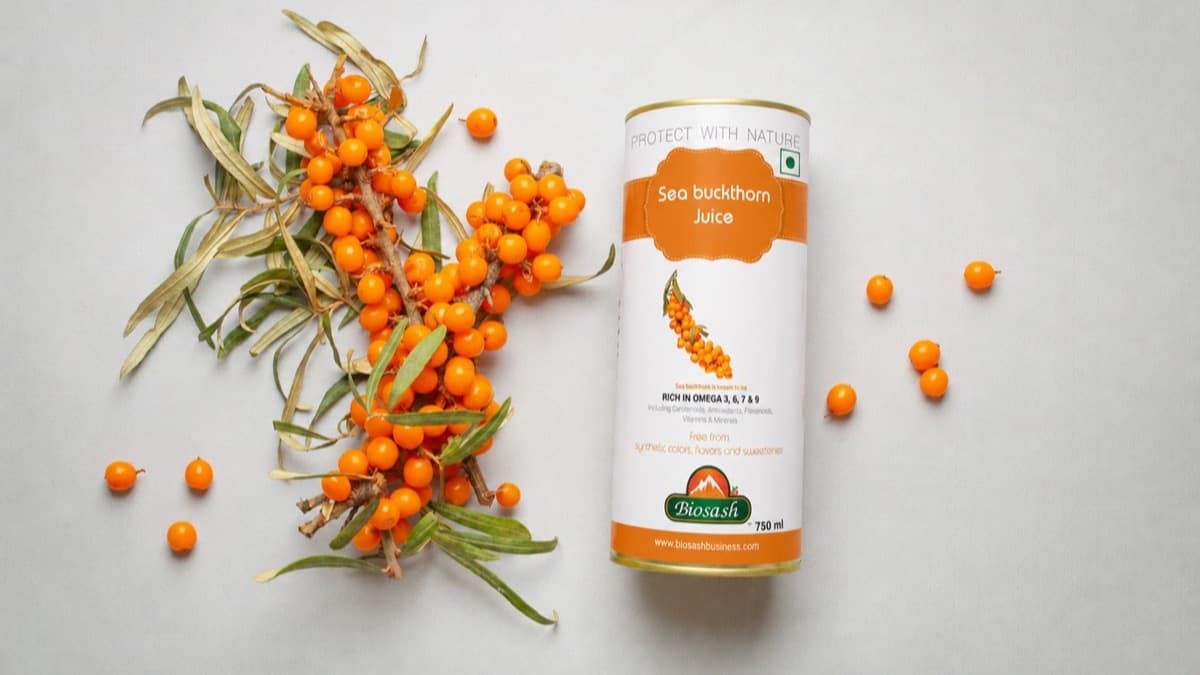 Sea Buckthorn Juice Price vs Other Super Helping Poses: Who-Is-More-Worthy?