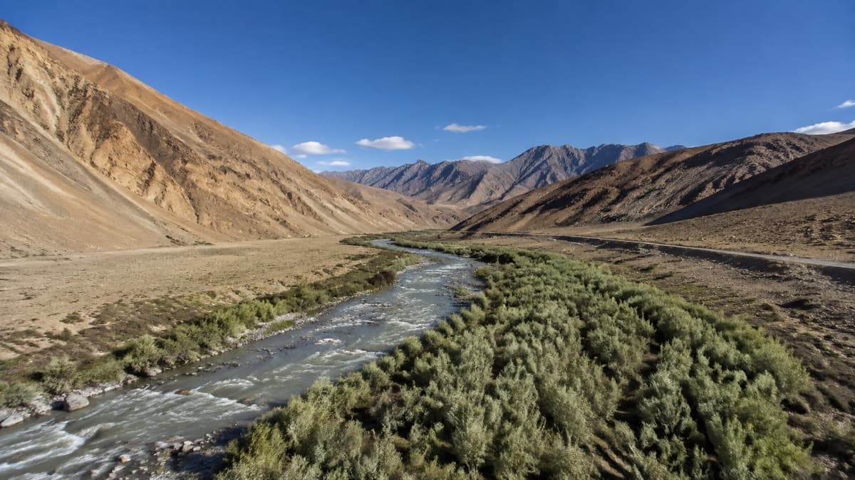 Why Ladakh Is India's Sea Buckthorn Hub