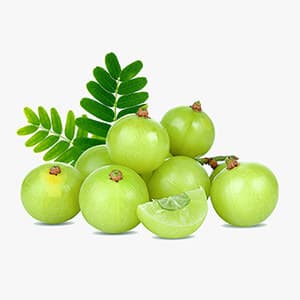 Indian Gooseberry (Amla)
