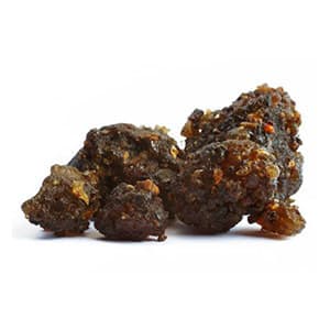 Guggul (Indian Bdellium)