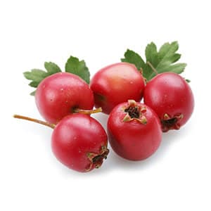 Kokum