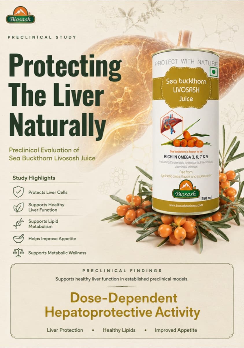 Pre-clinical study — Sea Buckthorn Livosash Juice
