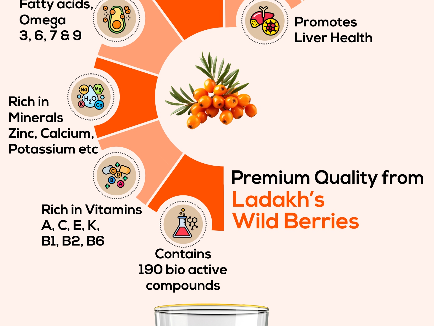 Sea Buckthorn Juice