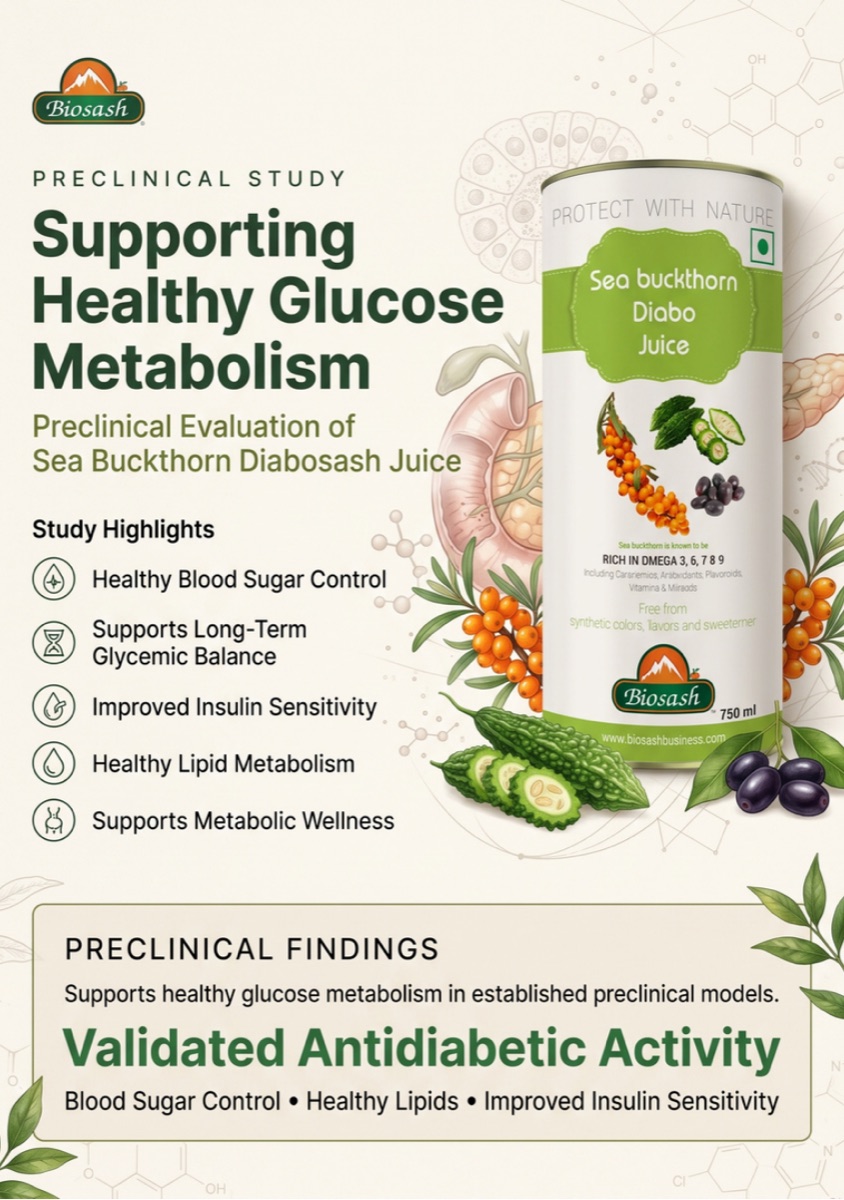 Pre-Clinical Study — Sea Buckthorn Diabo Juice