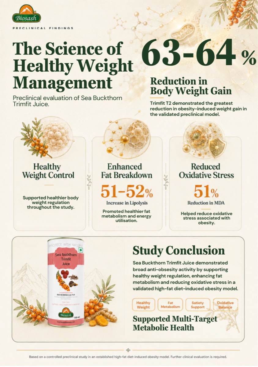Pre-Clinical Study — Sea Buckthorn Trimfit Juice
