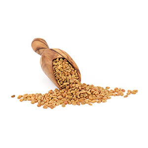 Fenugreek (Methi)