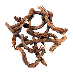 Picrorhiza (Kutki)