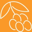 What Is <br>Sea buckthorn