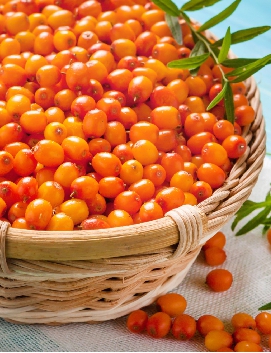 Healthy Foods