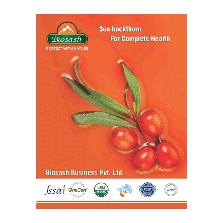 Profile Book English