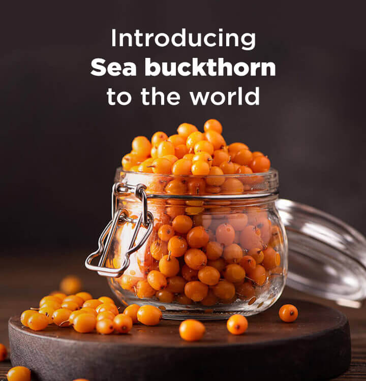 Mobile Banner What is Seabuckthorn?