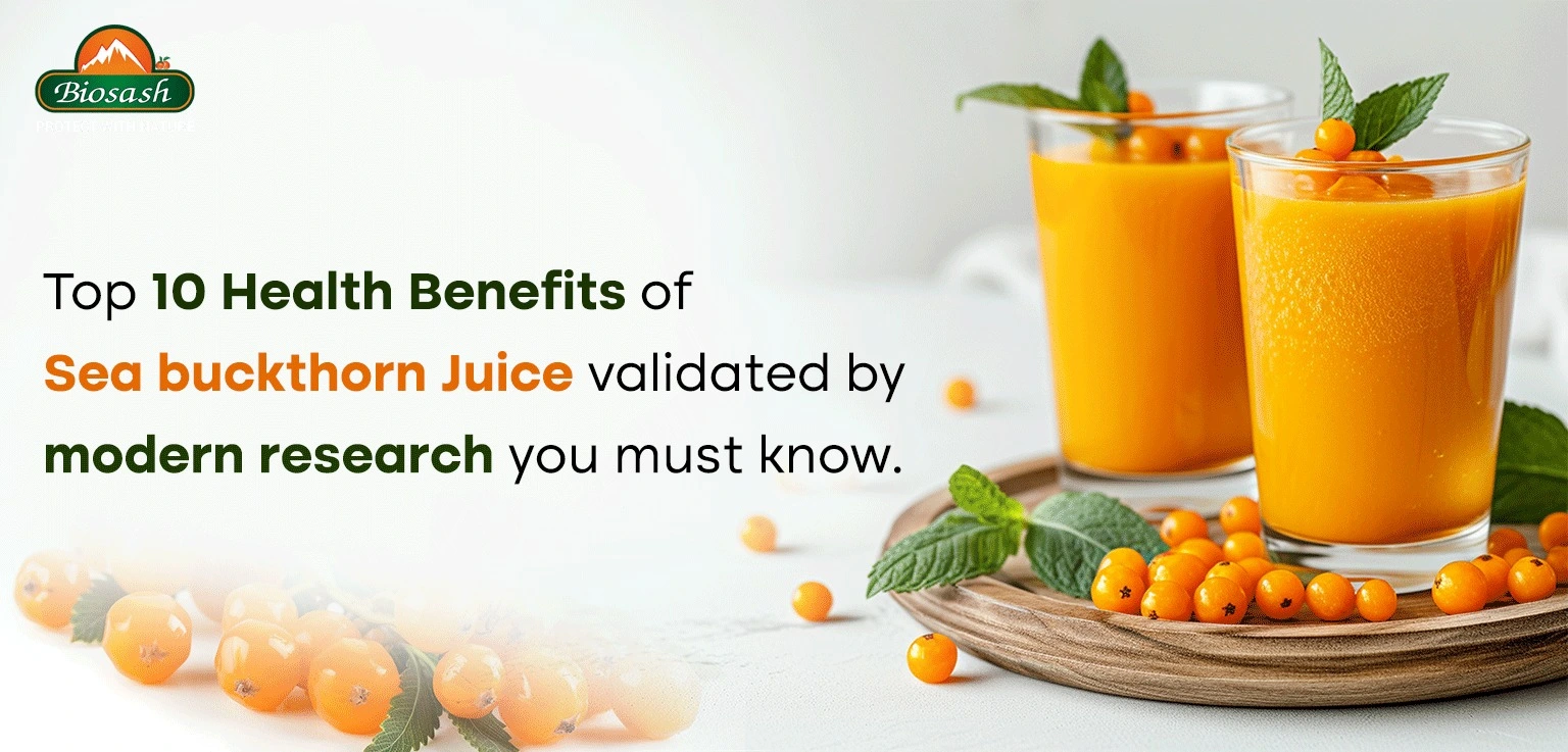 Why Sea Buckthorn Juice Is a Powerful Health Booster?