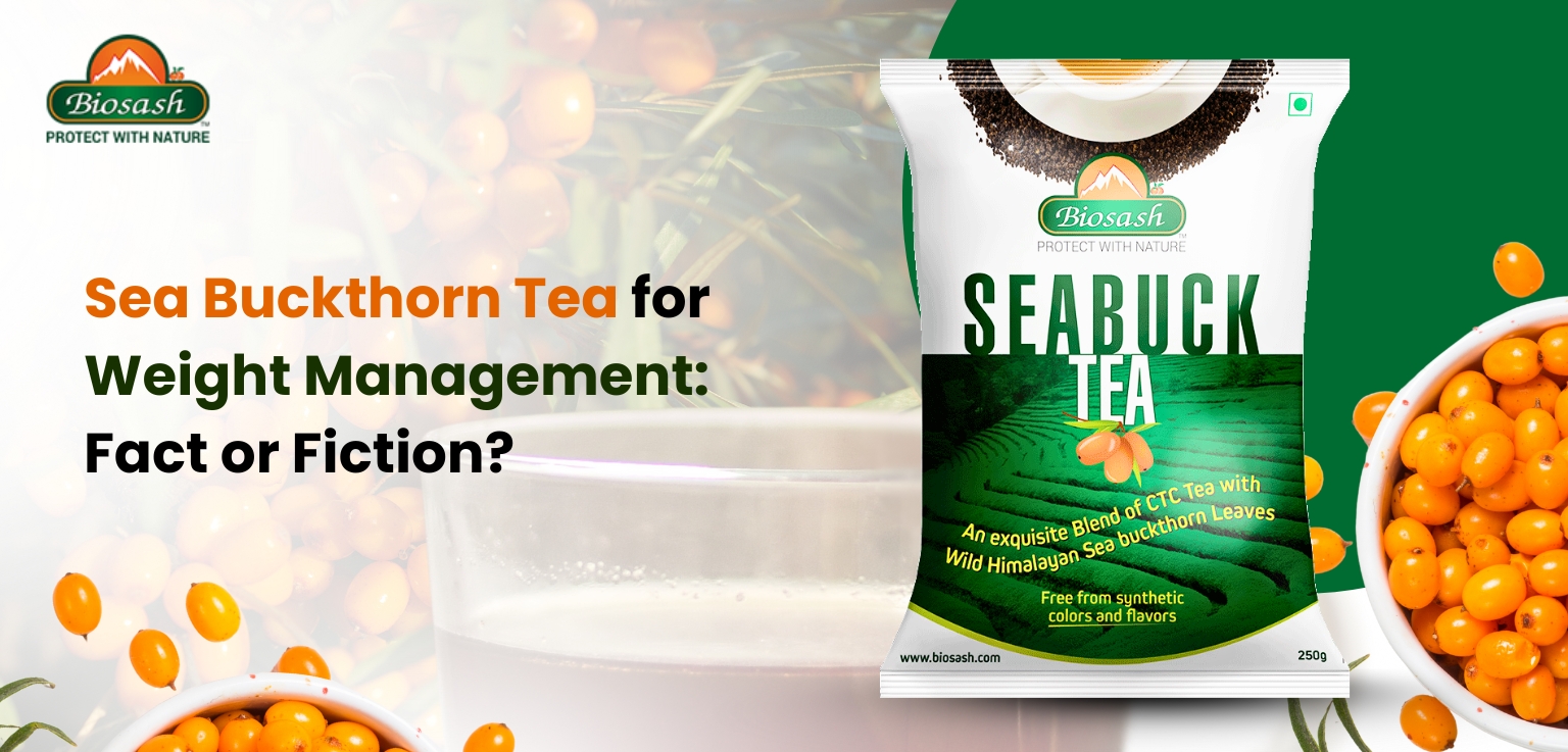 Sea Buckthorn Tea for Weight Management: Fact or Fiction?